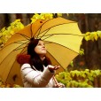 Autumn girl  wallpapers