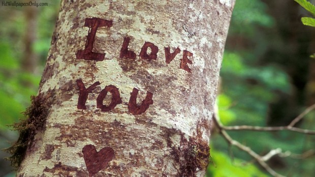 cute love tree wallpaper
