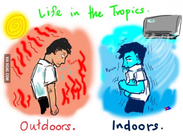life is tropics