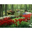 Flower park wallpaper