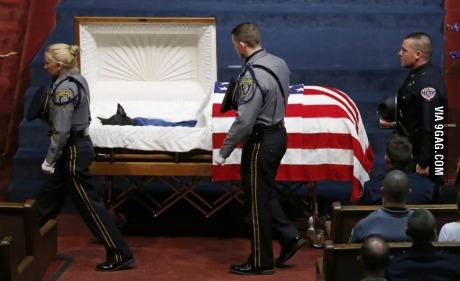Police dog stabbed to death by a thief.
