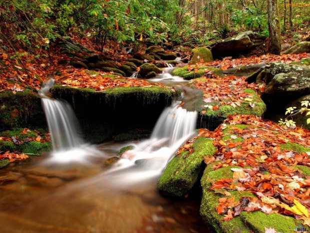 nature water wallpaper